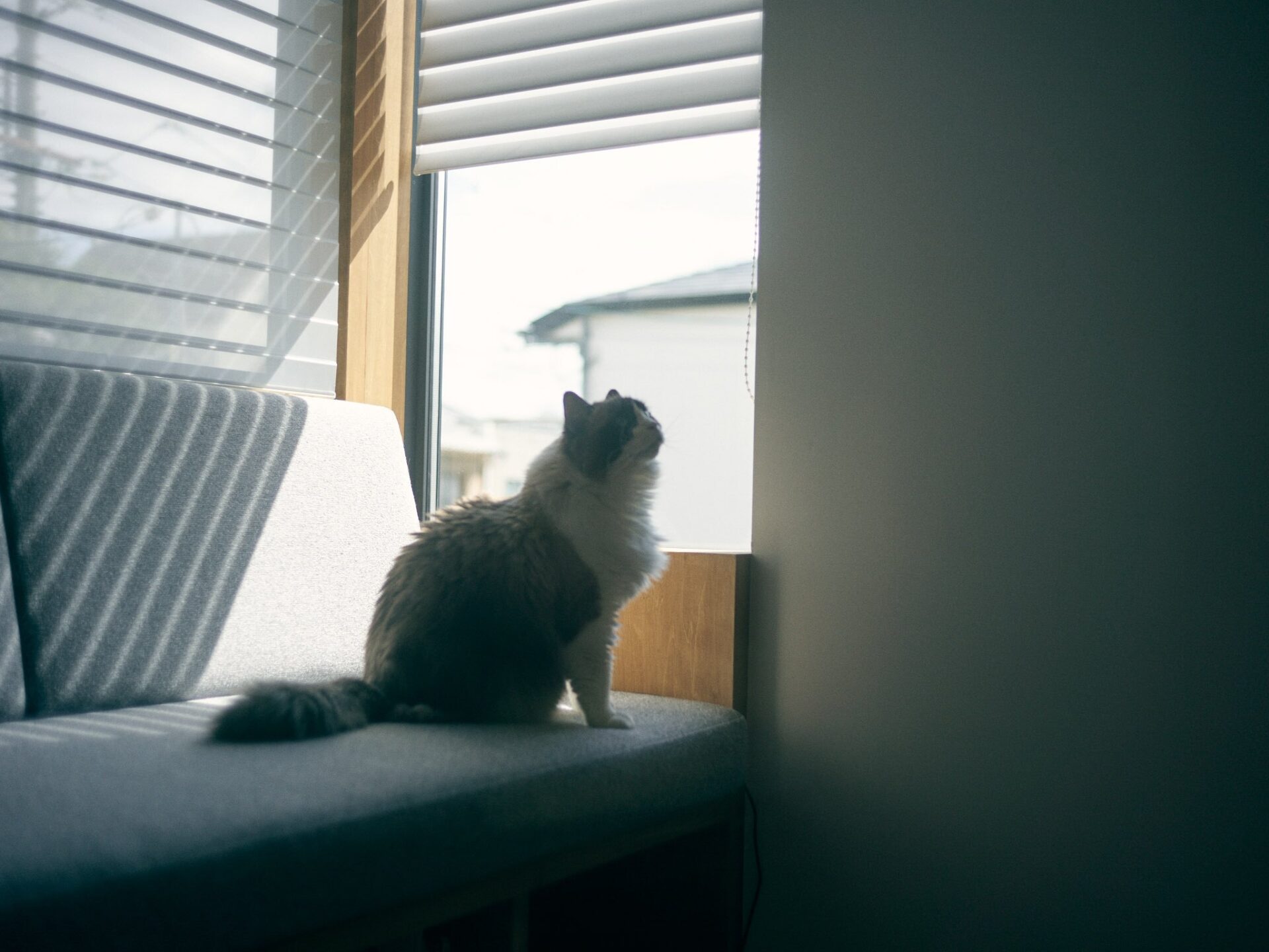 建築は完成しない